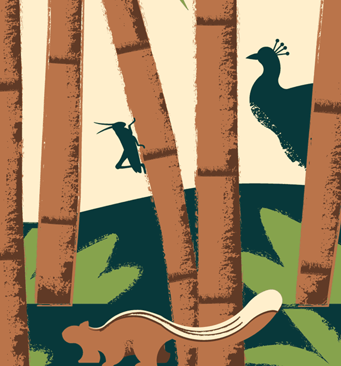 Biodiversity Graphic